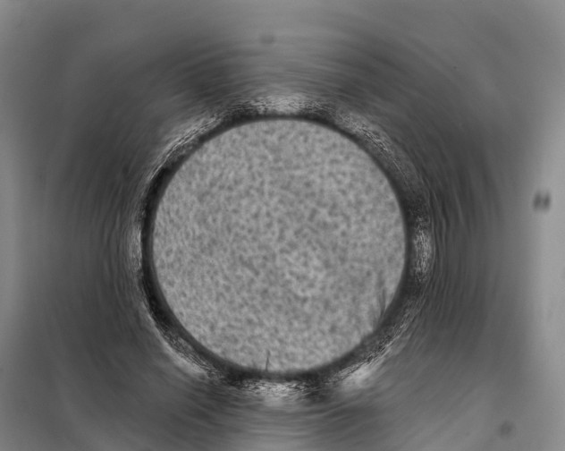 X0000098010638200804251115