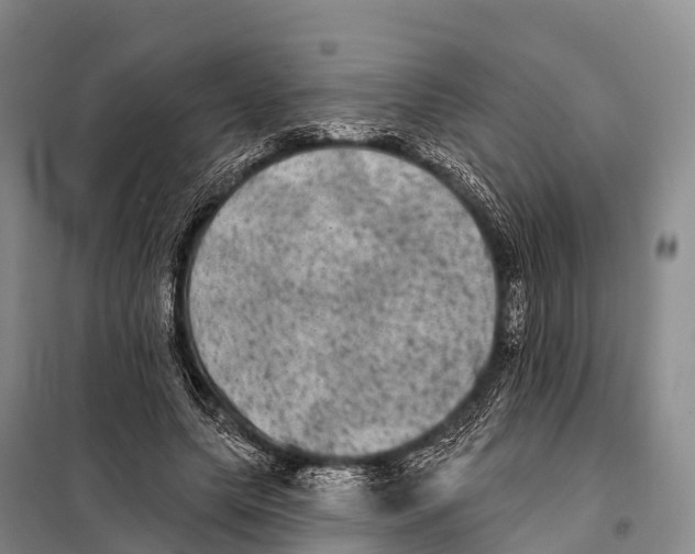 X0000098010639200804251115