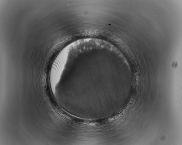 X0000098010640200804251115