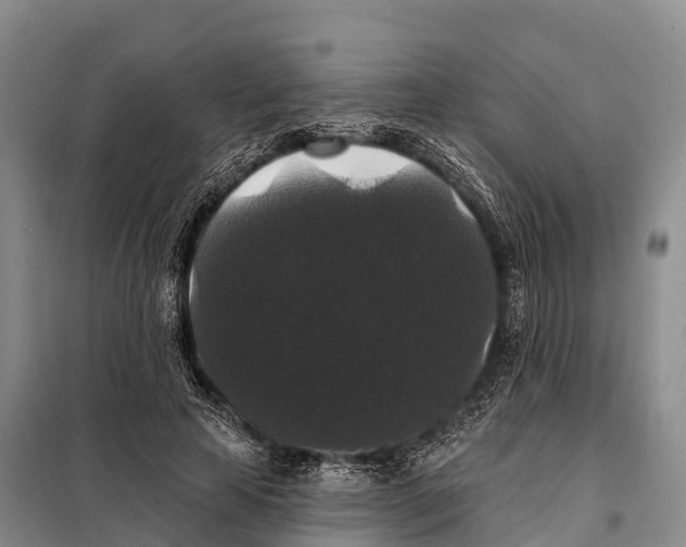 X0000098010641200804251115