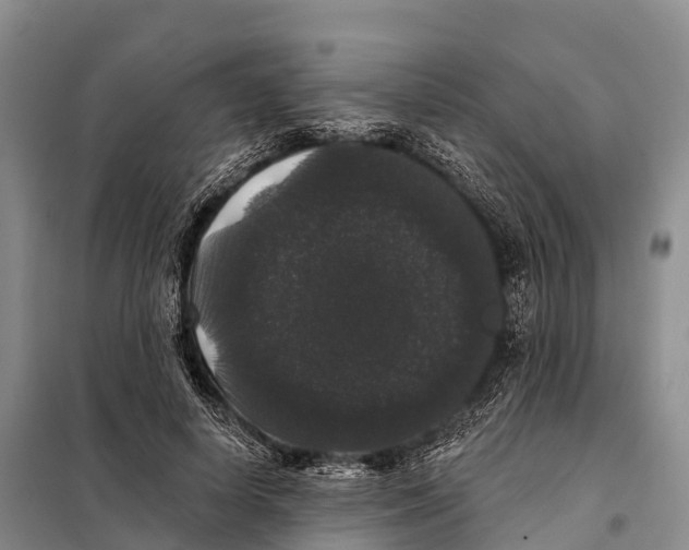 X0000098010642200804251115