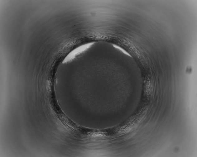 X0000098010643200804251115