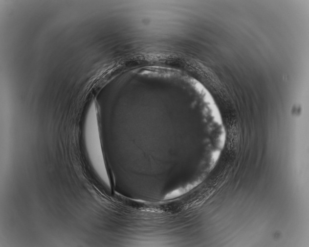 X0000098010644200804251115