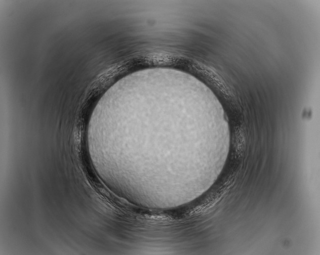 X0000098010645200804251115