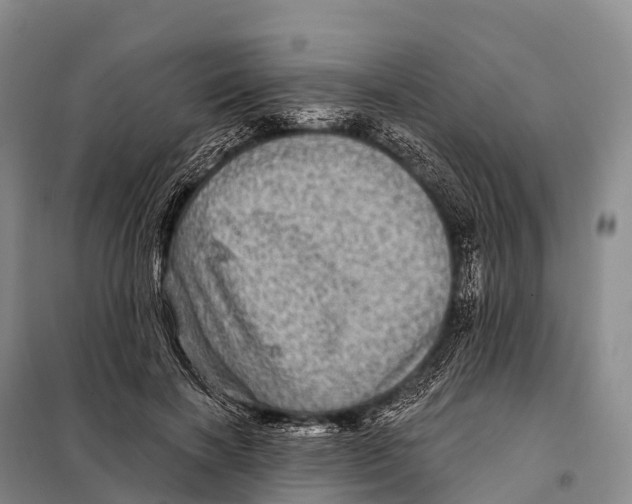 X0000098010646200804251115