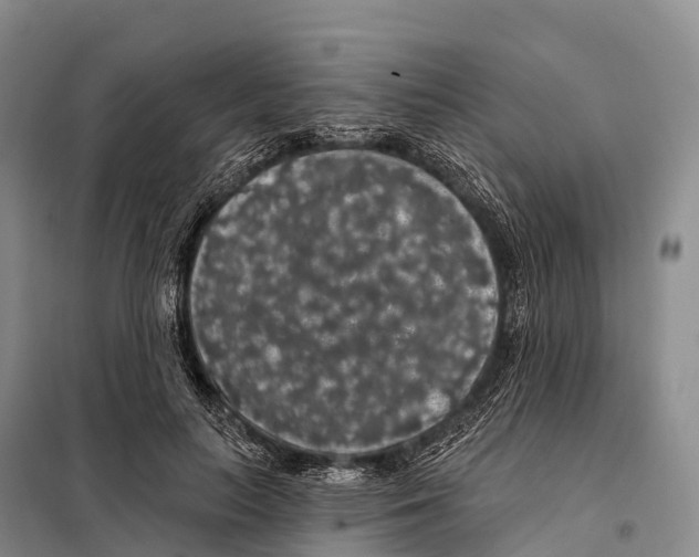 X0000098010647200804251115