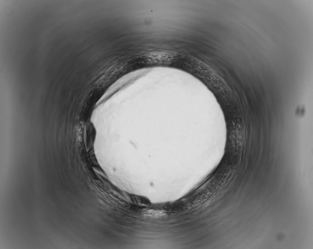 X0000098010649200804251115