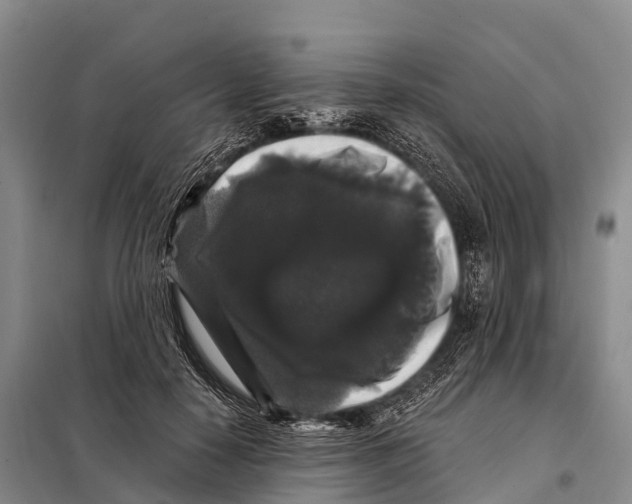 X0000098010650200804251115