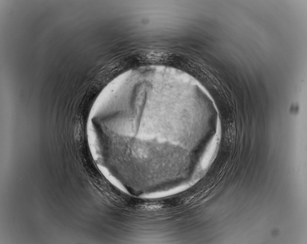 X0000098010651200804251115