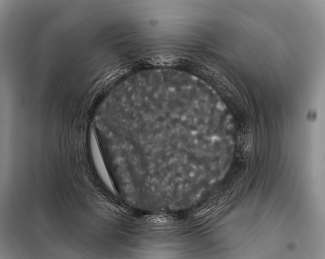 X0000098010652200804251115