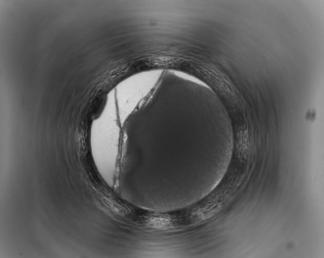 X0000098010653200804251115