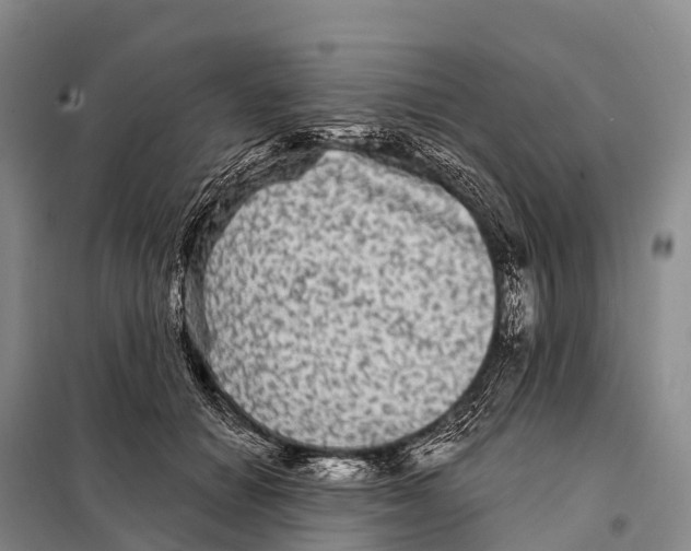 X0000098010654200804251115