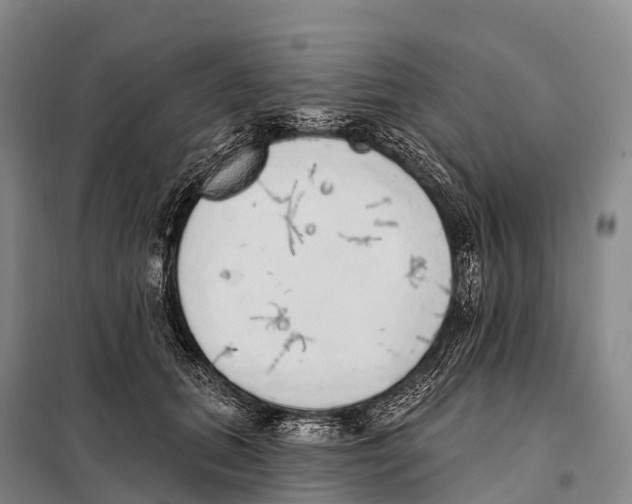 X0000098010655200804251115