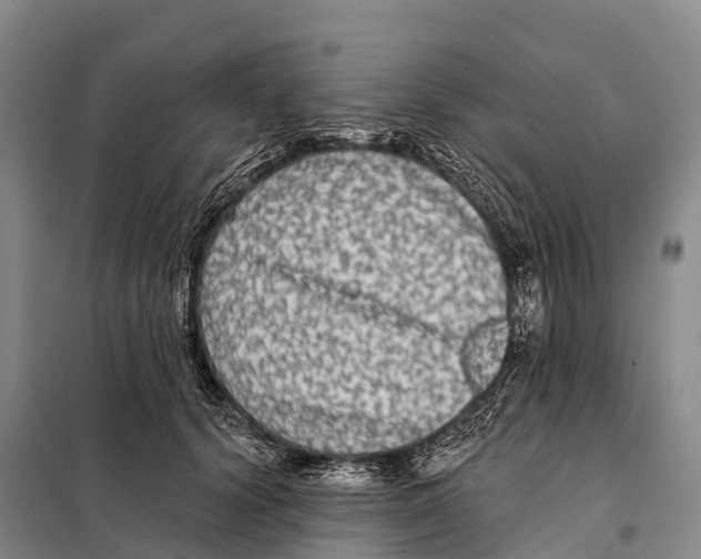 X0000098010656200804251115