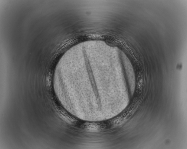 X0000098010658200804251115