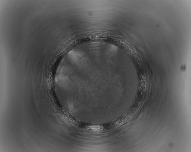 X0000098010659200804251115