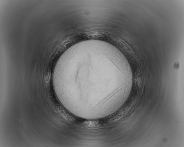 X0000098010660200804251115