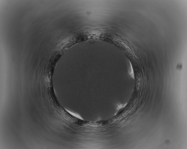 X0000098010661200804251115