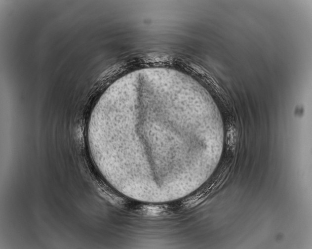 X0000098010662200804251115