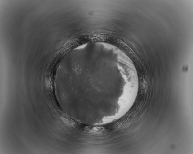 X0000098010663200804251115