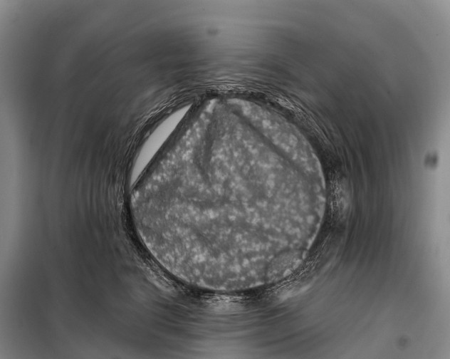 X0000098010664200804251115