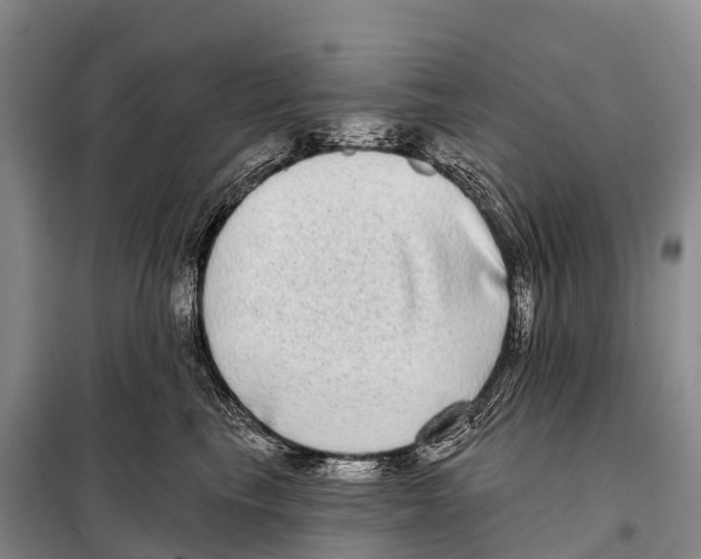 X0000098010665200804251115