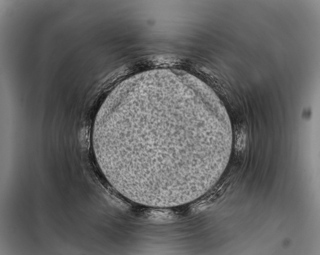 X0000098010666200804251115