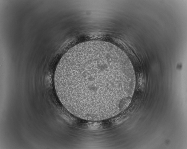 X0000098010667200804251115