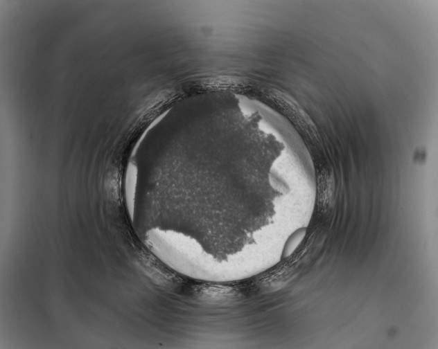 X0000098010669200804251116