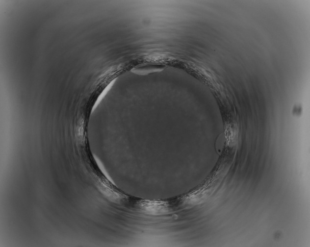 X0000098010670200804251116