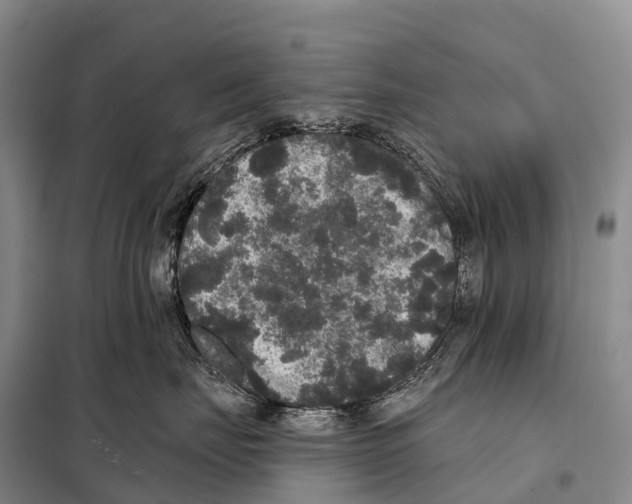 X0000098010671200804251116