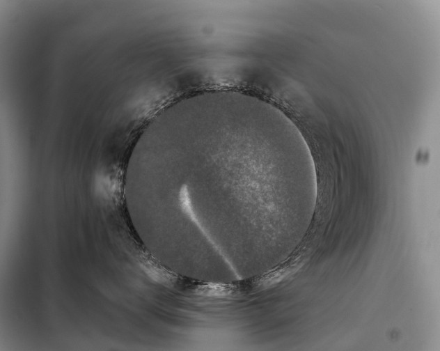 X0000098010672200804251116