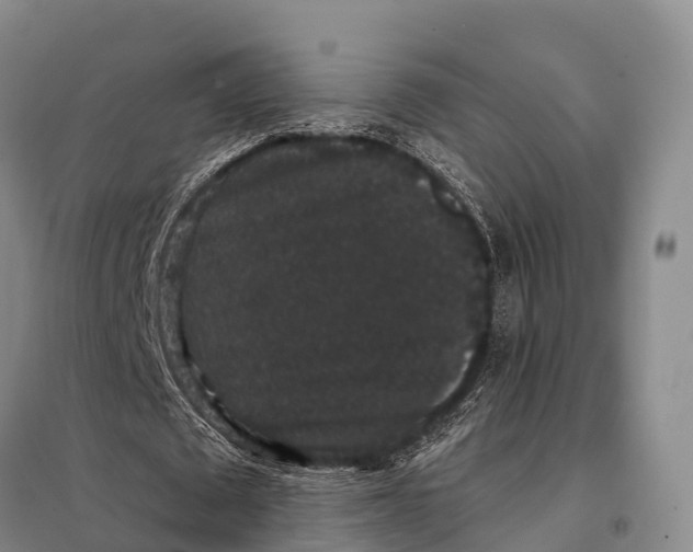 X0000098010673200804251115