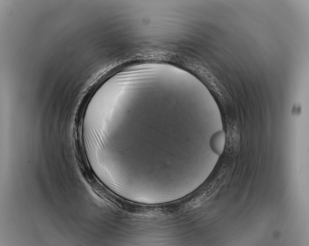 X0000098010674200804251115