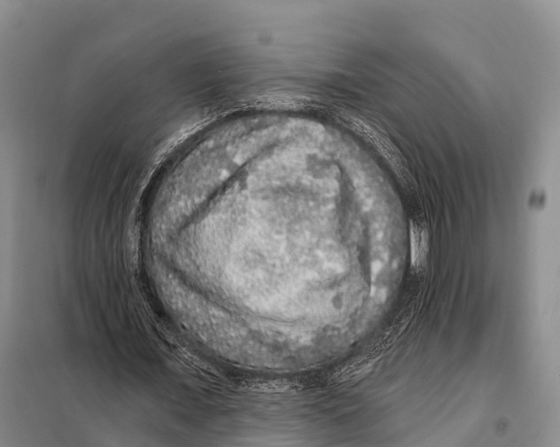 X0000098010675200804251115