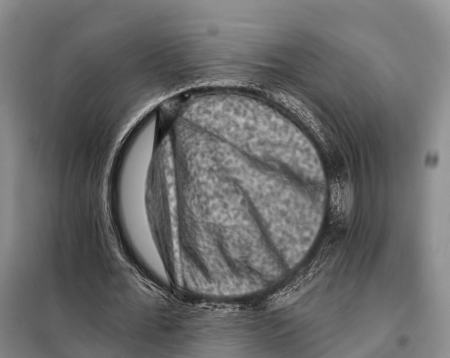 X0000098010676200804251115