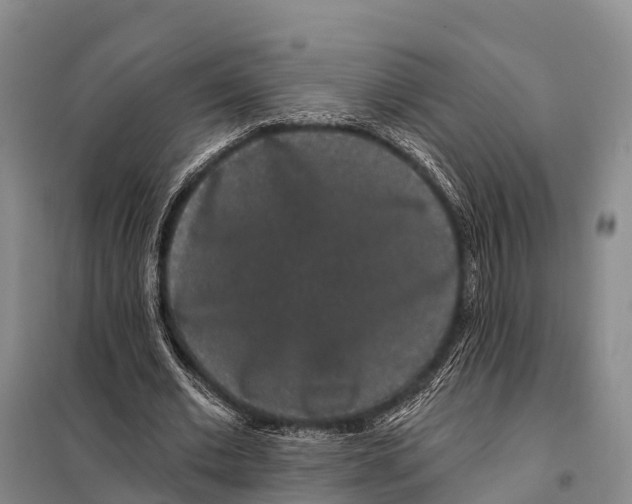 X0000098010677200804251115