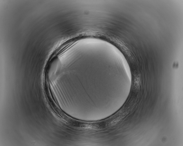 X0000098010678200804251115