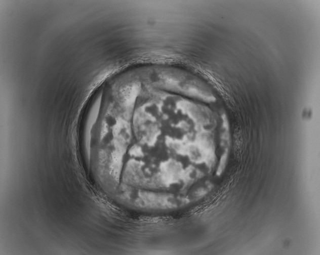 X0000098010679200804251115