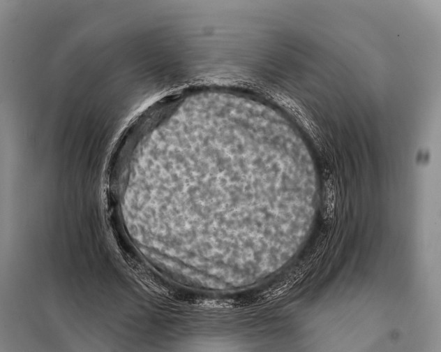 X0000098010680200804251115