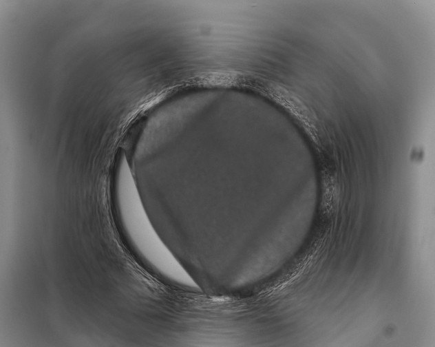 X0000098010681200804251115