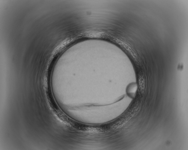 X0000098010682200804251115