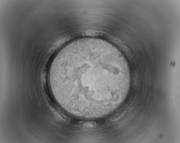 X0000098010683200804251115