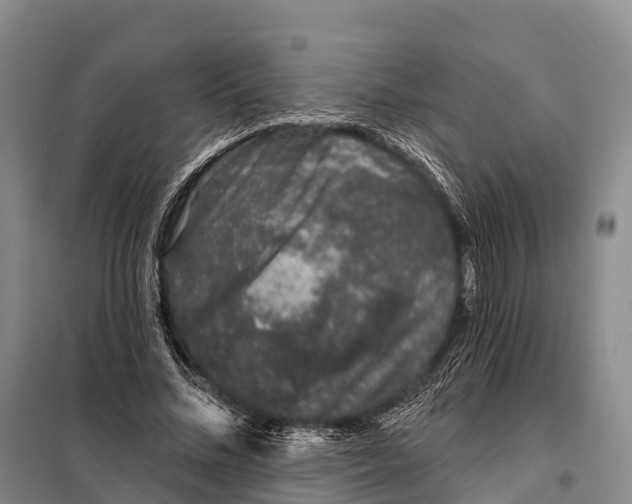 X0000098010684200804251115