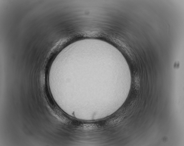 X0000098010686200804251115