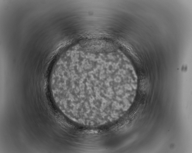 X0000098010687200804251115