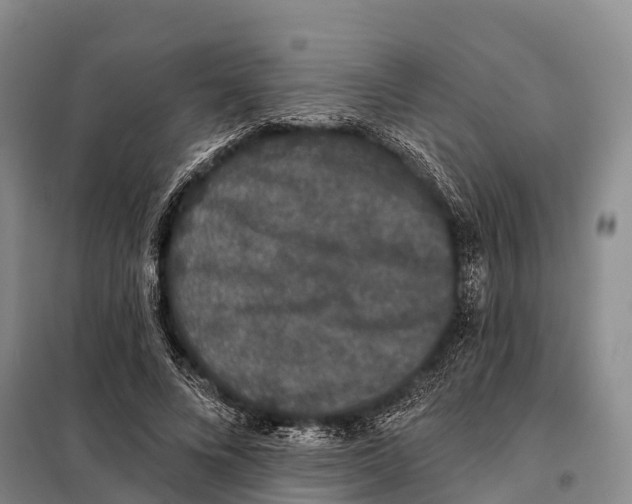 X0000098010688200804251115