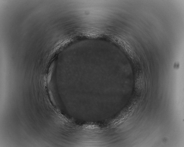 X0000098010689200804251115