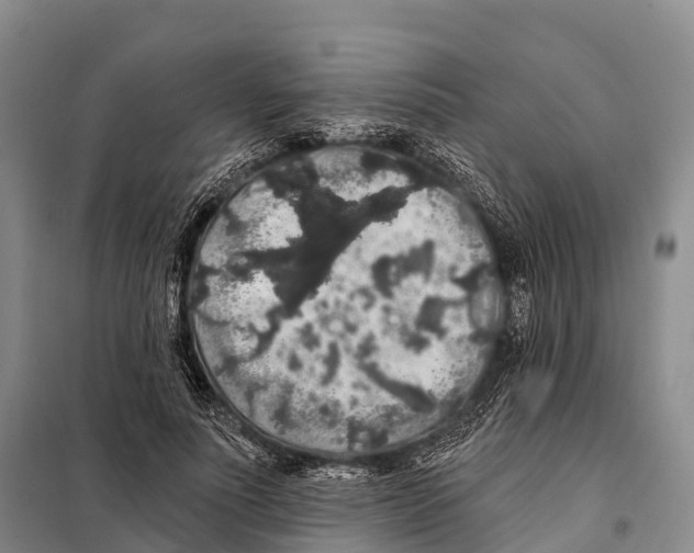 X0000098010691200804251115