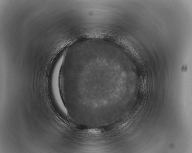 X0000098010692200804251115